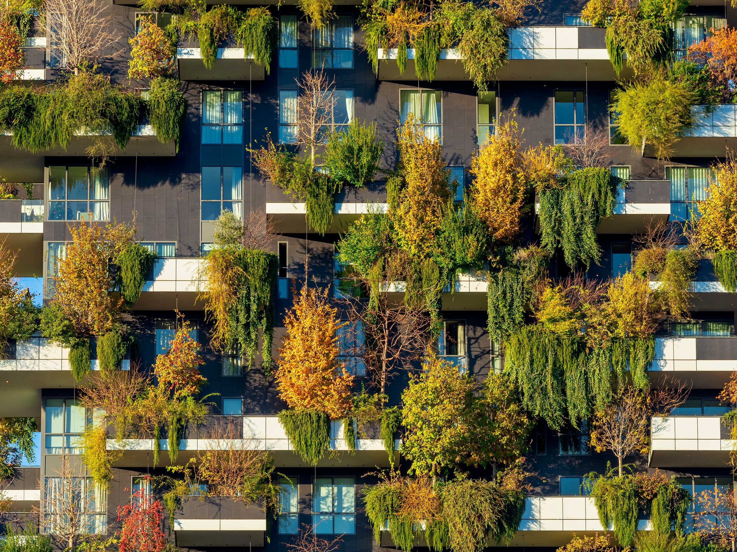 chi-siamo-bosco-milano